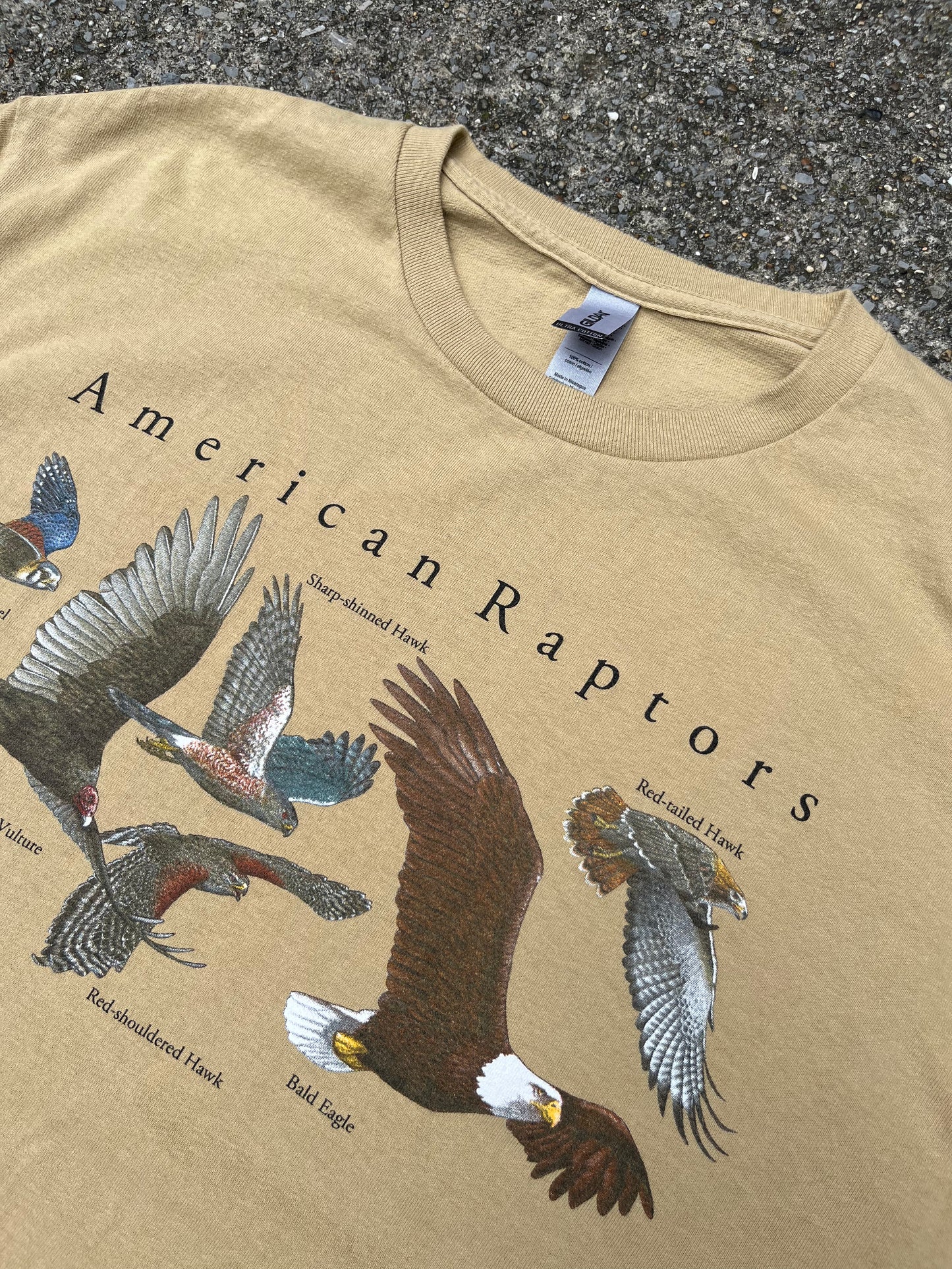 AMERICAN RAPTORS TEE