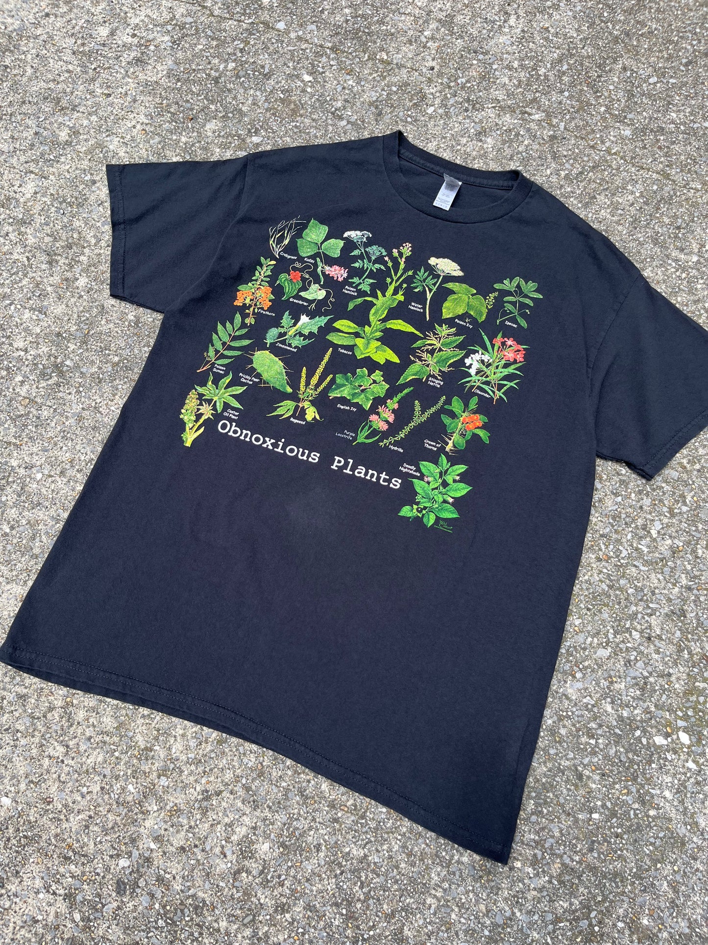 OBNOXIOUS PLANTS