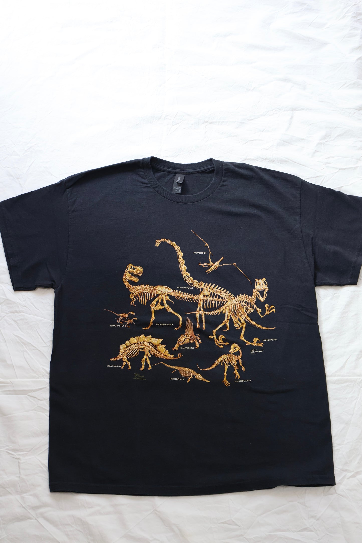 DINOSAUR BONE S/S TEE