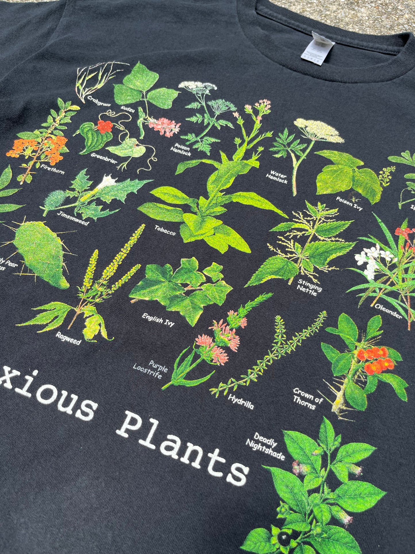 OBNOXIOUS PLANTS